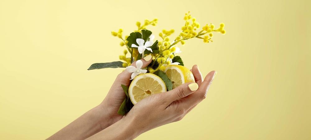 100% clean ingredients