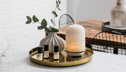 Refreshing Eucalyptus Diffusers