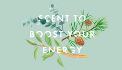 Let’s Focus The Mind!