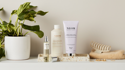 Magnesium Must-Haves