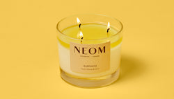 3 Wick Candle... On Repeat