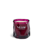 Christmas Wish Scented Candle (1 Wick)