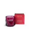 Christmas Wish Scented Candle (Travel)