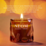 Cosy Nights Scented Candle (Travel)