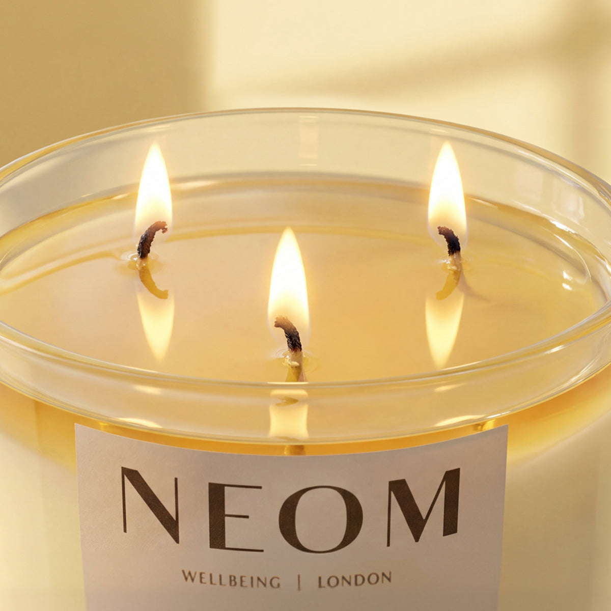 Happiness Scented Candle (3 Wick)