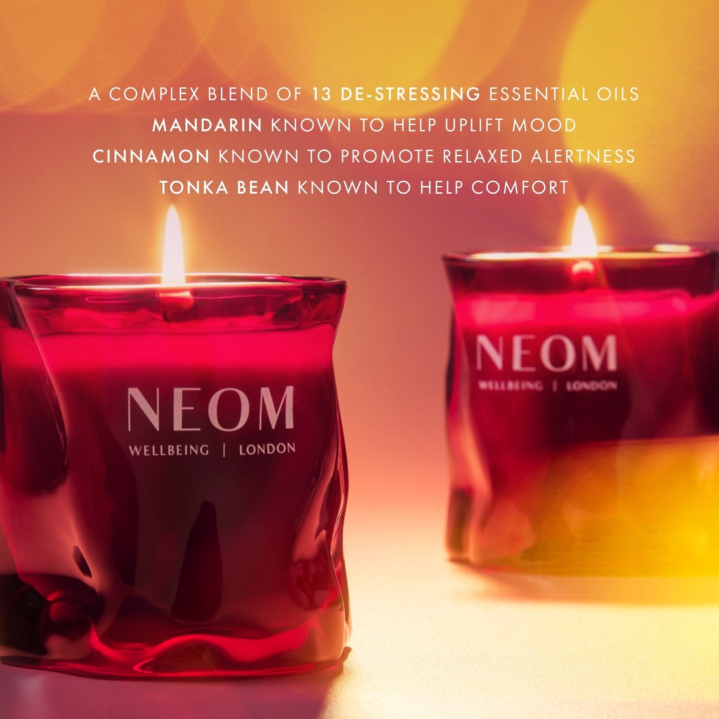 Christmas Wish Scented Candle (1 Wick)