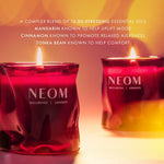 Christmas Wish Scented Candle (1 Wick)
