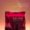 Christmas Wish Scented Candle (1 Wick)