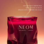 Christmas Wish Scented Candle (1 Wick)