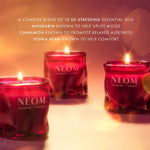 Christmas Wish Scented Candle (Travel)