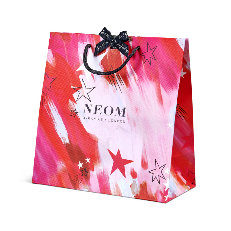 Christmas Medium Gift Bag